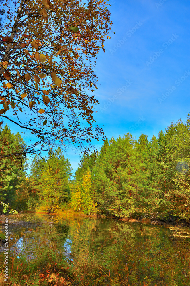 A small taiga lake on a sunny autumn day