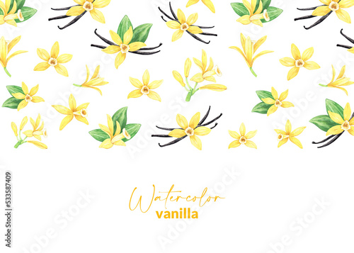 Watercolor yellow vanilla flowers, dried sticks and green leaves. Upper border design. Illustration of blooming orchid. Hand drawn perfume ingredient for recipe, label, packaging.