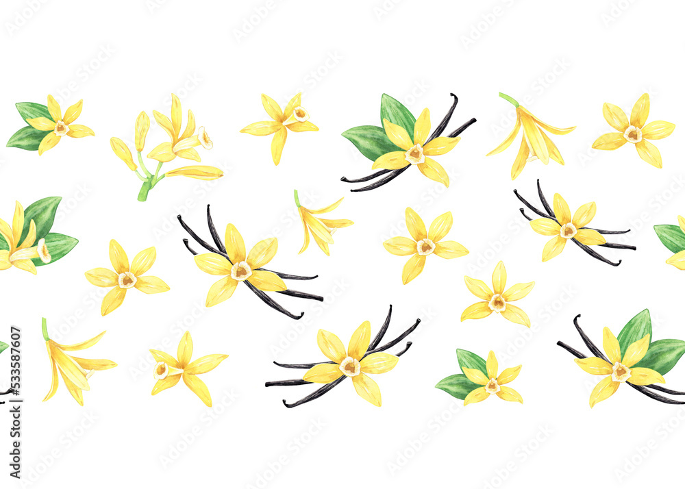 Watercolor yellow vanilla flowers, dried sticks and green leaves. Seamless border or band. Illustration of blooming orchid. Hand drawn perfume ingredient for recipe, label, packaging design, washi tap Watercolor yellow vanilla flowers, dried sticks and green leaves. Seamless border or band. Illustration of blooming orchid. Hand drawn perfume ingredient for recipe, label, packaging design, washi tap