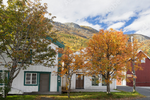 Great autumn weather in Mosj  en old gate  sj  gata  Vefsn  Helgeland  Nordland county  Europe