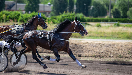 Horses of the French trotting breed in competition at the hippodrome. Equestrian sports event. Horse racing harness.