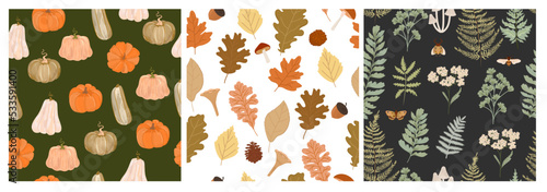 Collection of seamless pattern with autumn plants and pumpkin. Editable vector illustration.
