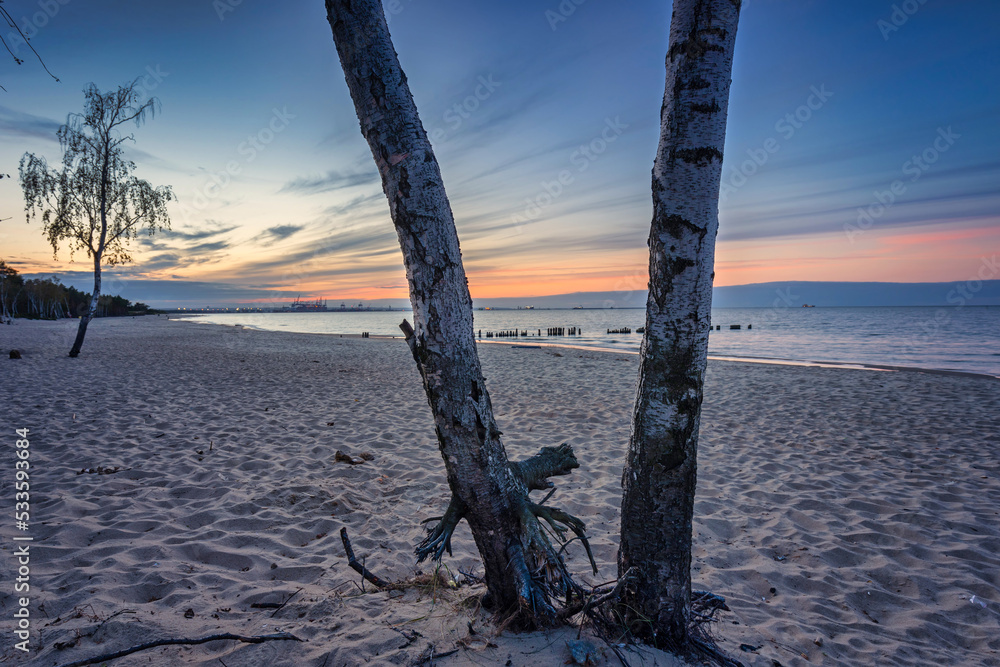Fototapeta premium Sunset on the beach of the Baltic Sea in Gdansk, Poland