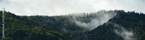 Fotografia Amazing mystical rising fog forest trees landscape in black forest ( Schwarzwald