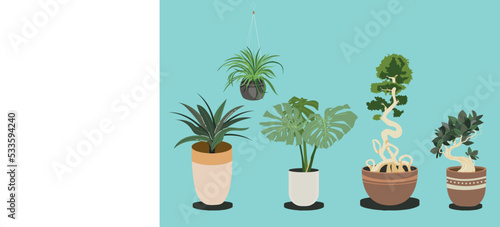 Hand-drawn houseplant collection COLORFULL FLAT DESIGN VECTOR ILLUSTRATION