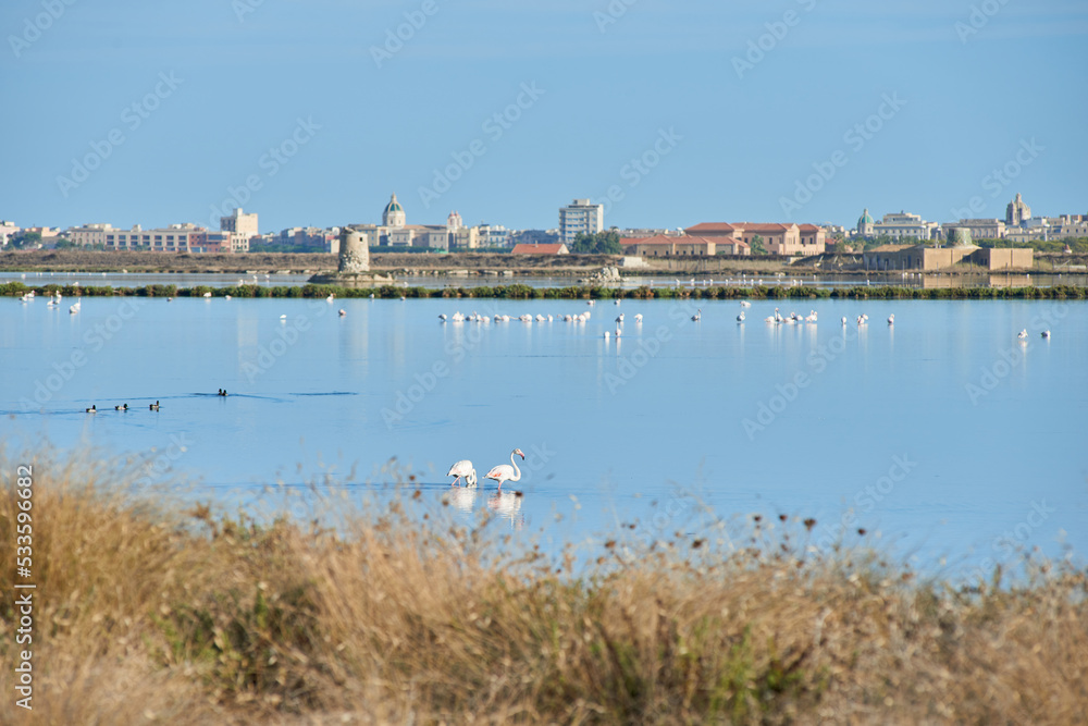 the salt pans of Trapani with pink flamingos and the city in the background