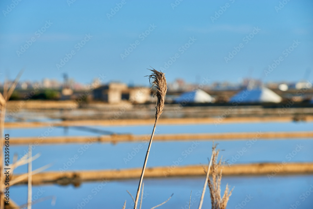 piles of salt in the salt pans of Trapani and Nubia in Sicily