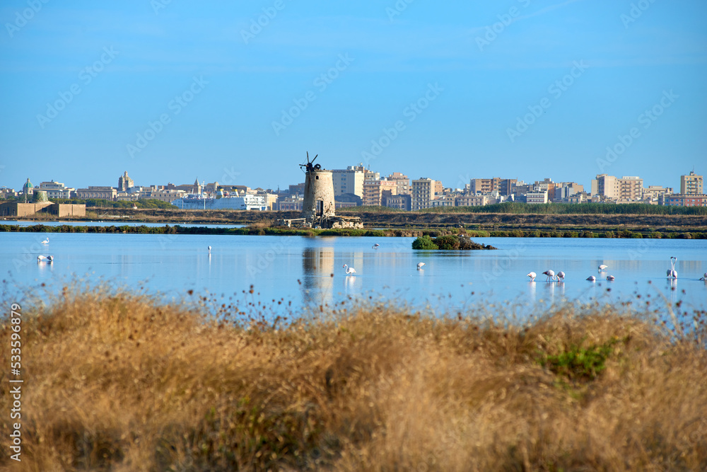 the salt pans of Trapani with pink flamingos and the city in the background