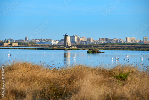 the salt pans of Trapani with pink flamingos and the city in the background © Z O N A B I A N C A