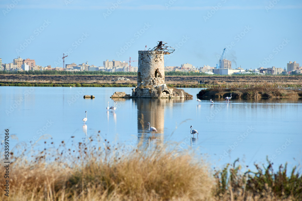 the salt pans of Trapani with pink flamingos and the city in the background