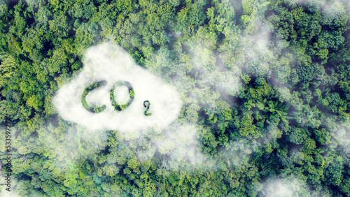 CO2 white fog, Concept depicting the issue of carbon dioxide emissions, global warming, sustainable development. photo