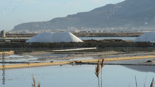 the salt pans of Trapani with the windmills in the morning