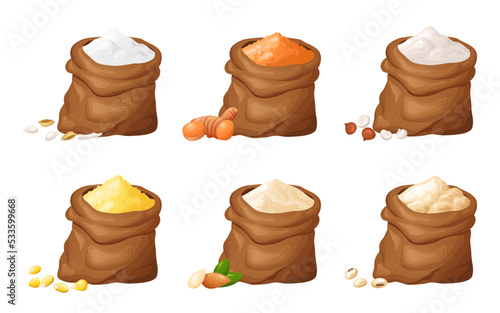 Flour in wooden bowl. Set of gluten free powder in organic product. Healthy organic food. Vector illustration isolated on white background