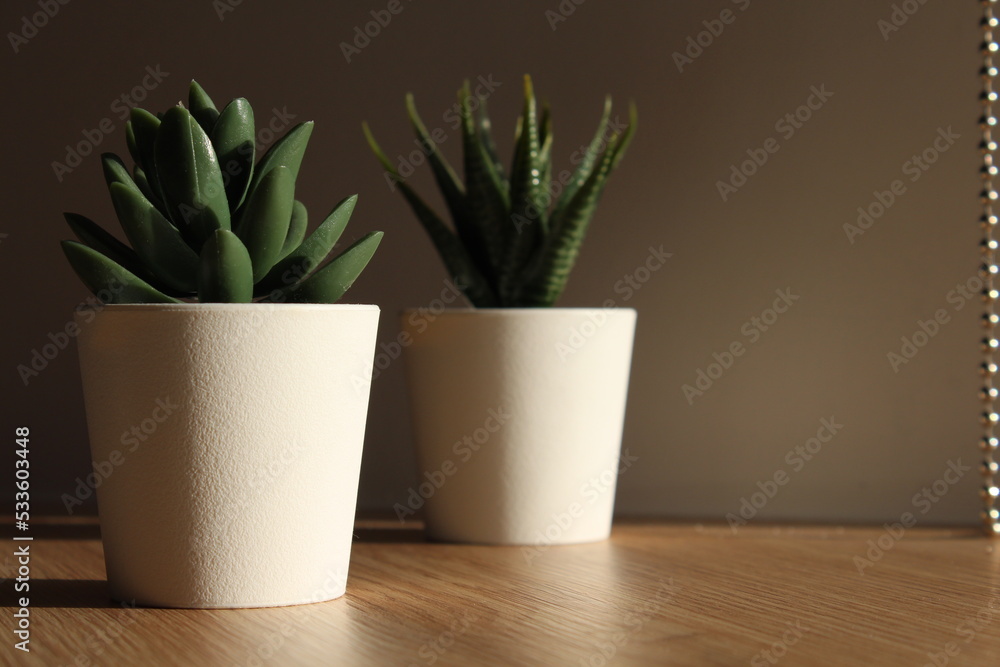 small potted fake plants on wooden table and dark background