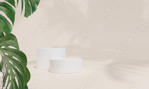 Podium with colorful pastel background and tree or leaf stand or podium pedestal on advertising display with blank backdrops. 3D rendering.