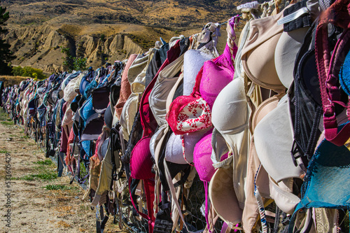Bradrona Bra Fence on Crown Range Road between Wanaka and Queenstown, New Zealand. 1000's of bras left by travellers passing by.
