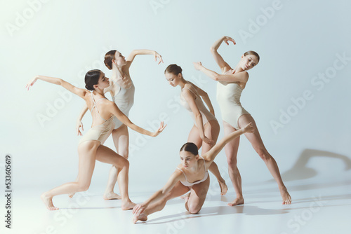 Group of young women, ballerinas dancing, performing isolated over grey studio background. Tender smooth movements