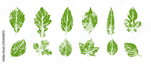 Fotografering Green imprints of leaves of trees and shrubs set