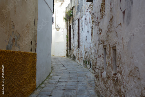 Fototapeta Naklejka Na Ścianę i Meble -  Ruelle de Jerez