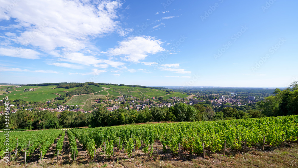Vineyards in the hills of Sancerre village