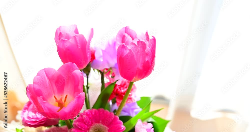 名称未設定プロジェクト