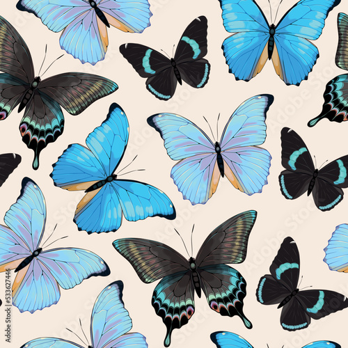 Vector pattern with high detailed tropic butterfly photo