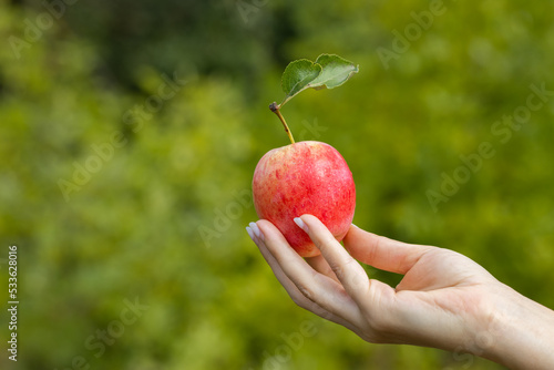 farmer holding an apple in his hand