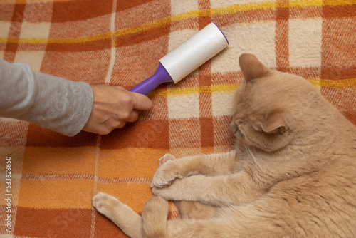 man cleans clothes with a roller from cat hair