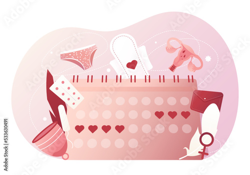 Female menstrual cycle. Menstruation calendar. Tracking menstrual cycle. Vector illustration of female reproductive system.