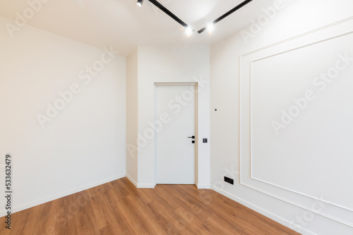 interior design of empty bright room with wooden floor and lighting