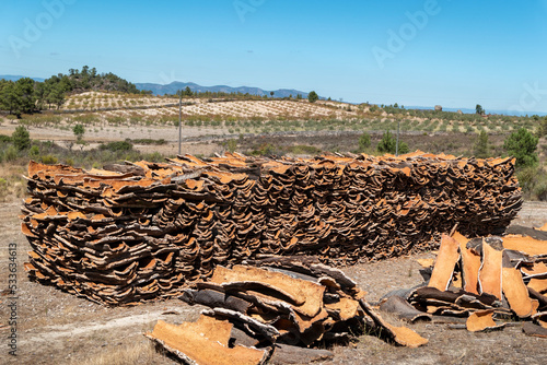 Cortiça amontoada em forma de pilha para uso industrial em Portugal photo