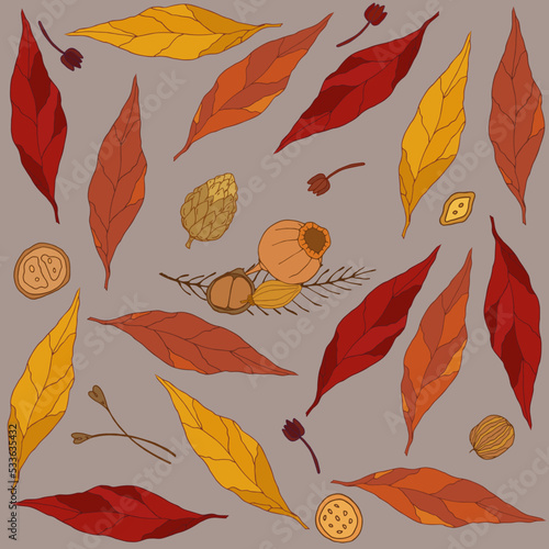 Autumn botanical elements of red and yellow dry leaves and berries on gray nbackground. Hand drawn vector illustration of autumn view photo