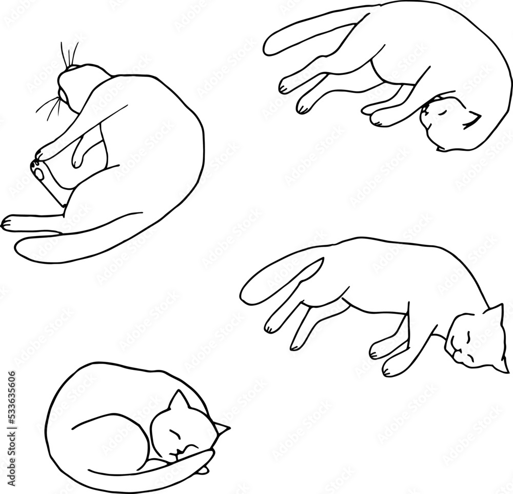 Vector illustration of sleeping cat poses on white background Vector illustration of sleeping cat poses on white background