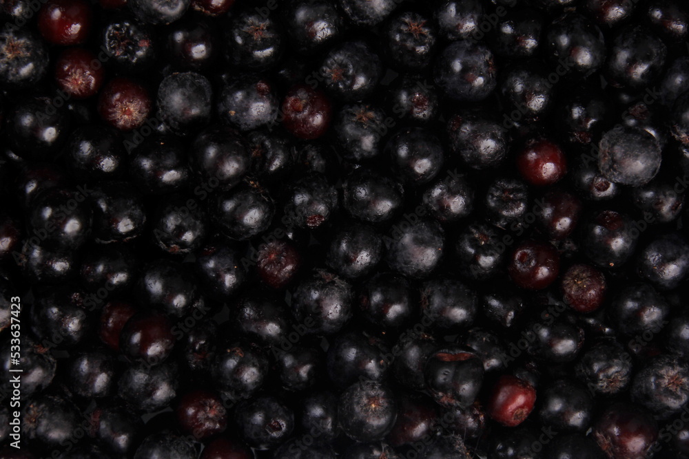 Background of fresh black chokeberry. Black aronia, black berry background Background of fresh black chokeberry. Black aronia, black berry background
