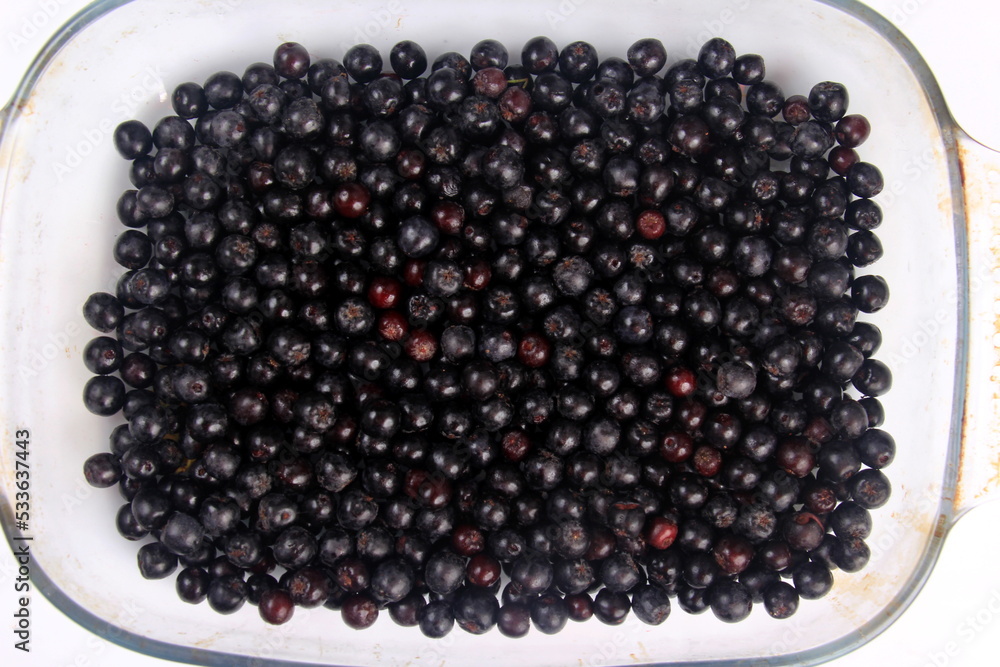 Background of fresh black chokeberry. Black aronia, black berry background Background of fresh black chokeberry. Black aronia, black berry background