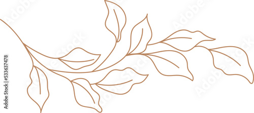 Branch with leaves lined illustration
