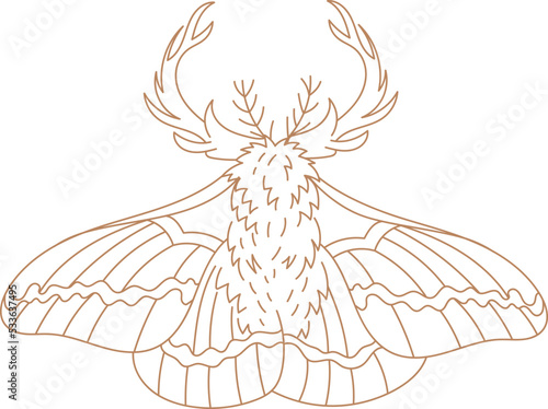 Rhinoceros beetle boho lined illustration