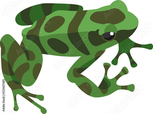 Exotic Frog Reptile Amphibian illustration