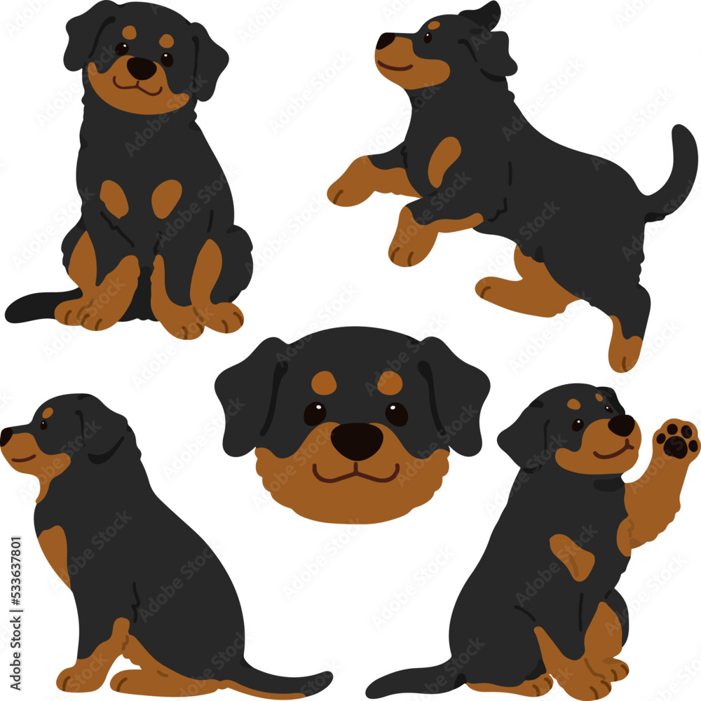 Simple and adorable Rottweiler dog illustrations flat colored