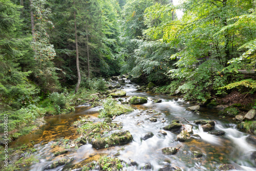 stream in the mountain forest in autumn shot with long exposure