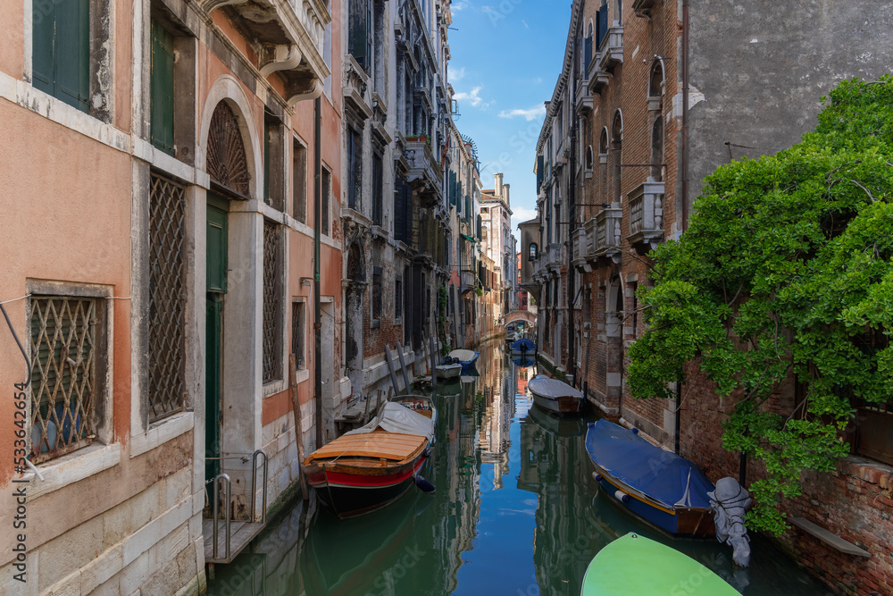 Boats near vintage brick walls of houses on the water surface of a narrow canal street in Venice, reflections and sky on a Venetian street, a tree on the bank of a Venice canal on a sunny day