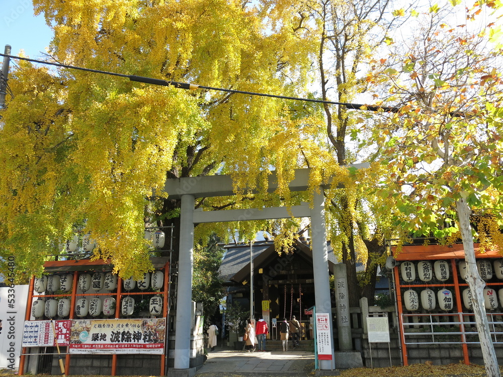 イチョウの黄葉が美しい築地の波除神社