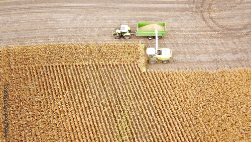 Obraz na płótnie Maishäcksler und Traktor auf einem Feld bei der Erntearbeit, Landwirtschaft, Agr