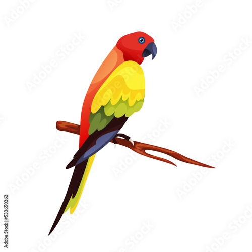Chattering Lory parrot, vector icon or clipart.