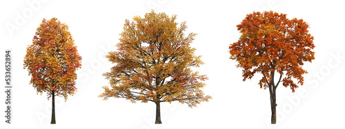 autumn tree, isolate on a transparent background, 3d illustration 