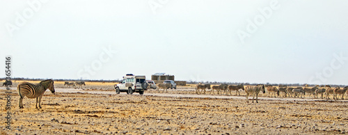 Photography Etosha National Partk, Namibia, 2022