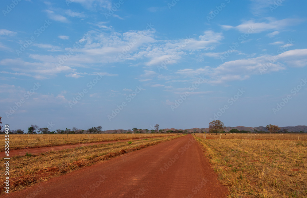 dirt road in rural area