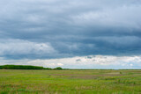 gorgeous steppe landscape in summer before rain
