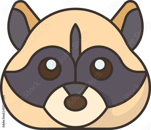 raccoon  icon