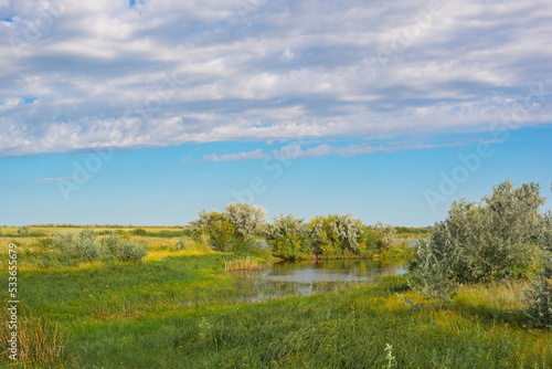 green steppe with clouds and blue sky in Kazakhstan